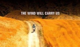 随风而逝在线观看56,56分钟的情感旅程